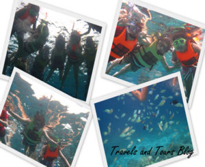 Snorkeling-Balicasag