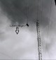 Drop Zone Dahilayan Adventure Park