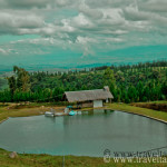 Dahilayan garden, dahilayan adventure park bukidnon, bukidnon dahilayan,dahilayan zip line, dahilayan zorb,dahilayan atv, dahilayan drop zone, dahilayan adventures