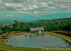 Dahilayan garden, dahilayan adventure park bukidnon, bukidnon dahilayan,dahilayan zip line, dahilayan zorb,dahilayan atv, dahilayan drop zone, dahilayan adventures