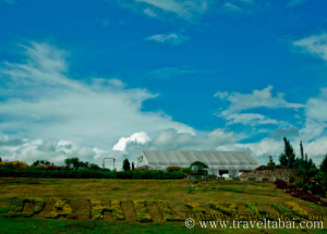 Dahilayan garden, dahilayan adventure park bukidnon, bukidnon dahilayan,dahilayan zip line, dahilayan zorb,dahilayan atv, dahilayan drop zone, dahilayan adventures