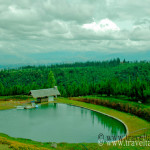 Dahilayan garden, dahilayan adventure park bukidnon, bukidnon dahilayan,dahilayan zip line, dahilayan zorb,dahilayan atv, dahilayan drop zone, dahilayan adventures