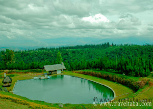 Dahilayan garden, dahilayan adventure park bukidnon, bukidnon dahilayan,dahilayan zip line, dahilayan zorb,dahilayan atv, dahilayan drop zone, dahilayan adventures