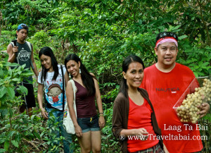 Lanzones Festival Camiguin Island, Lanzones Festival, sweetest Lanzones in the Island of Mindanao, Mantigue Island, camiguin island, how to harvest lanzones, opening of the Lanzones Festival, unlimited Lanzones,Benoni port