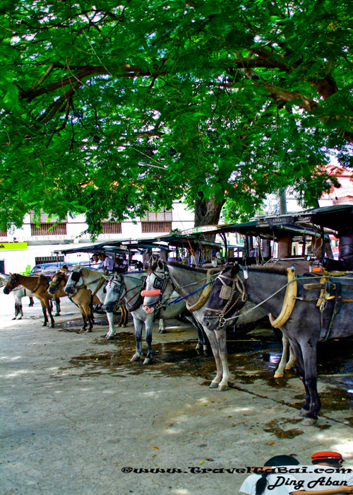 Vigan Heritage Village, tourist destinations of the Philippines, heritage Village of Vigan City, famous tourist destination in Ilocos Region, Historic Town of Vigan, UNESCO World Heritage, Hispanic towns, cobblestone streets, heritage village, history of the Ilocos Region