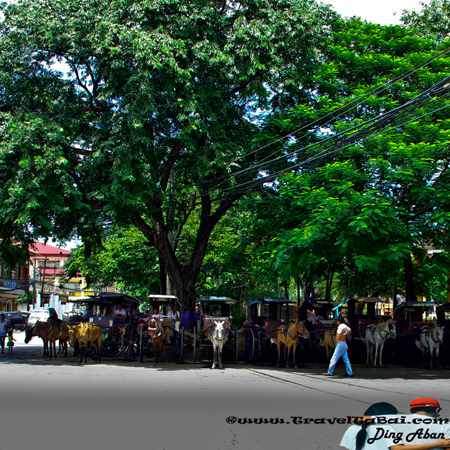 Vigan Heritage Village, tourist destinations of the Philippines, heritage Village of Vigan City, famous tourist destination in Ilocos Region, Historic Town of Vigan, UNESCO World Heritage, Hispanic towns, cobblestone streets, heritage village, history of the Ilocos Region