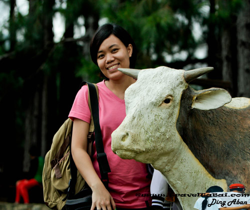 Dahilayan Adventure Park Family Bonding, Dahilayan Adventure Park, Dahilayan Adventure Park bukidnon, Dahilayan Garden, Travel around Philippines, travel guide