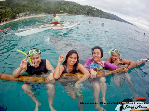 Whale Shark Close Encounter in Oslob, Whale Shark, Butanding. cebu tourist destinations, tourist destinations, swim with the whale shark, popular tourist attraction in the Philippines, tourist attraction in the Philippines, Whale Shark Oslob