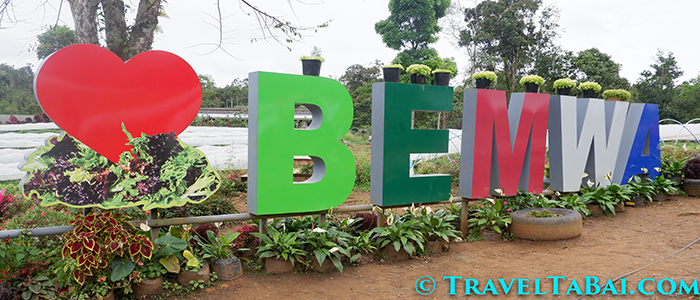 Bemwa Farm, Bemwa Farm Davao City, How to go Bemwa Farm, Tips in Bemwa Farm, where is Bemwa Farm, Bemwa Farm tourist attraction, Bemwa Farm strawberries, Bemwa Farm guide