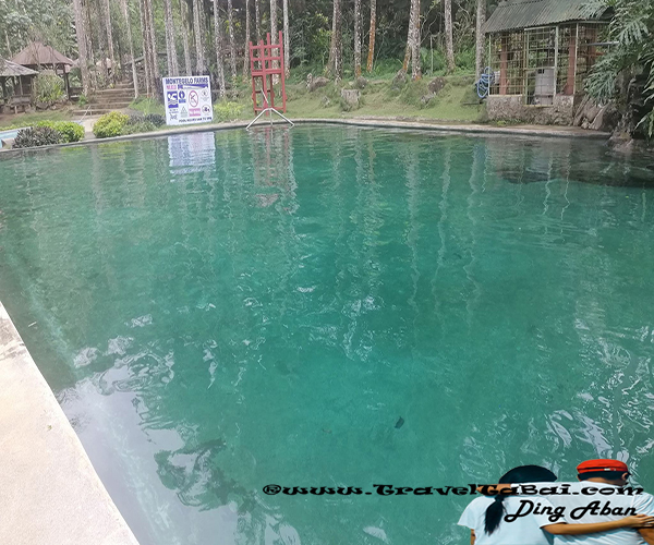 bukidnon manolo, contact number Montegelo Farms, How to go Montegelo Farms, Montegelo Farms, Montegelo Farms bukidnon,  Montegelo Farms Manolo Fortich bukidnon, Obrero place, San Miguel Montegelo Farms, tourist attraction manolo fortich