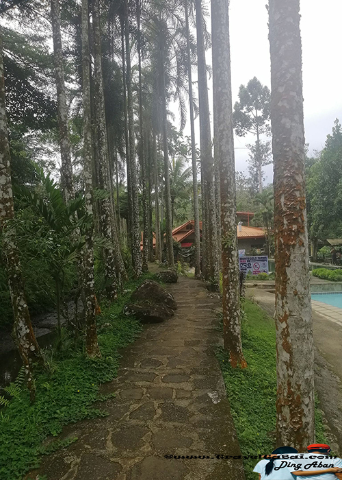 bukidnon manolo, contact number Montegelo Farms, How to go Montegelo Farms, Montegelo Farms, Montegelo Farms bukidnon,  Montegelo Farms Manolo Fortich bukidnon, Obrero place, San Miguel Montegelo Farms, tourist attraction manolo fortich