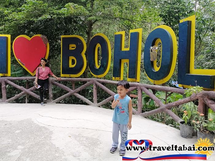 Bohol Tarsier, Bohol Tarsier Philippines, Philippines smallest animals, Bohol Tarsier how to, tour guide bohol, Philippine tourist spots, Bohol Tarsiers entrance,