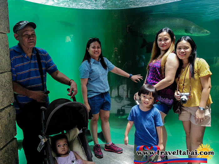 Cebu Ocean Park, Biggest ocean park, Biggest ocean park in the Philippines, Biggest oceanarium, Philippine biggest ocean park, Visayas ocean park, Mindanao Ocean Park, How To, Manila Ocean Park, Going to ocean Park, How to go to ocean park, free ocean park