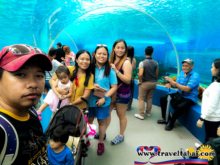 Cebu Ocean Park, Biggest ocean park, Biggest ocean park in the Philippines, Biggest oceanarium, Philippine biggest ocean park, Visayas ocean park, Mindanao Ocean Park, How To, Manila Ocean Park, Going to ocean Park, How to go to ocean park, free ocean park