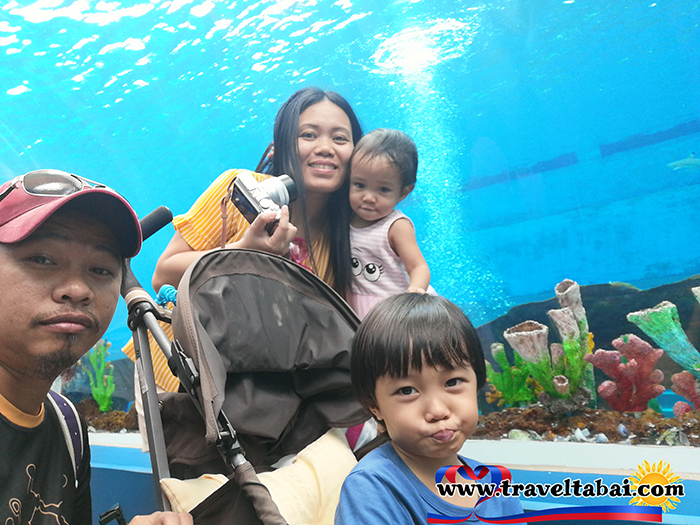 Cebu Ocean Park, Biggest ocean park, Biggest ocean park in the Philippines, Biggest oceanarium, Philippine biggest ocean park, Visayas ocean park, Mindanao Ocean Park, How To, Manila Ocean Park, Going to ocean Park, How to go to ocean park, free ocean park