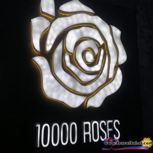 1000 Roses, 1000 Roses garden, 1000 Roses Cebu City, Tourist spots Cebu, best tourist attraction, Philippines Tourist spots