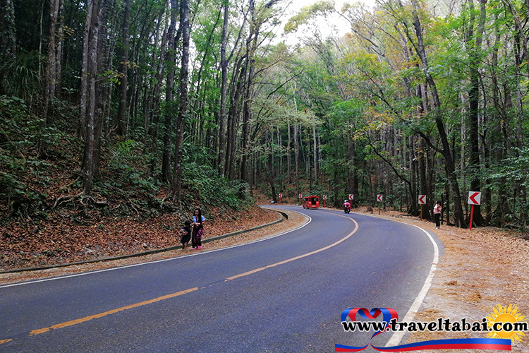 Baclayon Chursh Bohol, Bohol Province, Bohol Tourist spots, Tourist spots Cebu, best tourist attraction, Philippines Tourist spots, heritage church in Bohol, Heritage churches, Chocolate Hills, man made forest