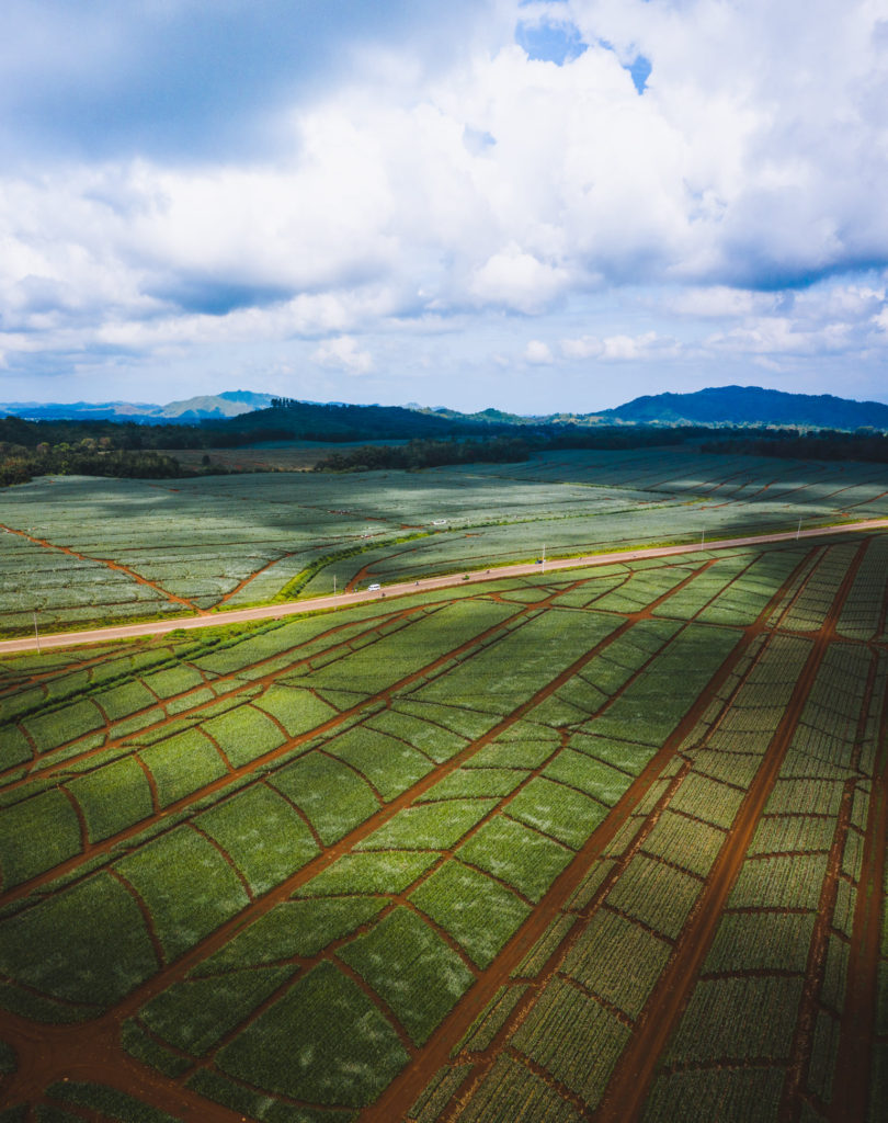 Bukidnon, Bukidnon Mountains, Malaybalay Bukidnon, Bukidnon Province, Tourist destination in Bukidnon, Places to visit in Bukidnon