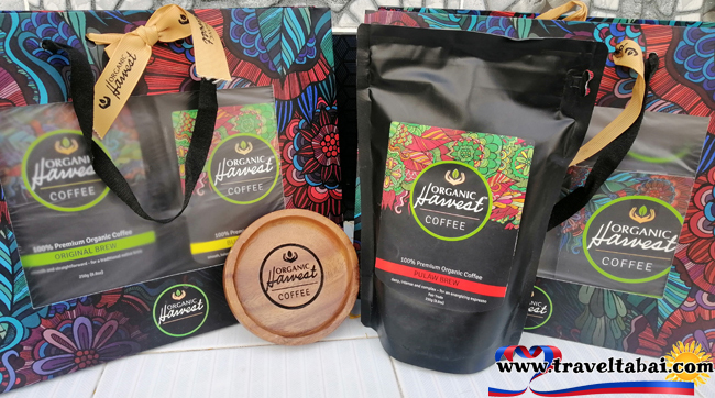 Philippine organic coffee, Organic harvest coffee, Philippine organic coffee beans, Organic coffee beans, local coffee brands in the Philippines,healthy organic coffee, Philippine best organic coffee brands, Filipino Coffee brands, Organic coffee beans in the Philippines, Organic coffee brand in the Philippines