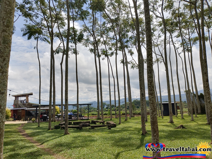 Lantapan Bukidnon, Places in Lantapan Bukidnon, Where to Eat in Lantapan Bukidnon, Bukidnon, HOw to go to Lantapan, Tourist Spots in Lantapan Bukidnon, Lantaw 360 Camp and Cafe, Lantaw 360 Bukidnon, Ayahay Coffee, Ayahay Coffee Bukidnon, Ayahay, Cafe sa Bukid, Cafe sa Bukid Bukidnon, Cafe sa Bukid lantapan bukidnon, El Paso Restaurant, El Paso Restaurant Lantapan Bukidnon, Where to go in Lantapan Bukidnon, Where to go, Guide Going to Lantapan Bukidnon