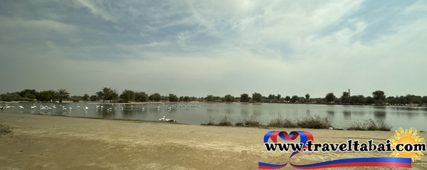 Dubai, Abu dhabi, Love lake Dubai, Dubai tourist attractions, Tips and Guide Dubai, Tips and Guide Abu Dhabi, Travel Guide, Flamingo Lake and Love lake Dubai, Flamingo Lake