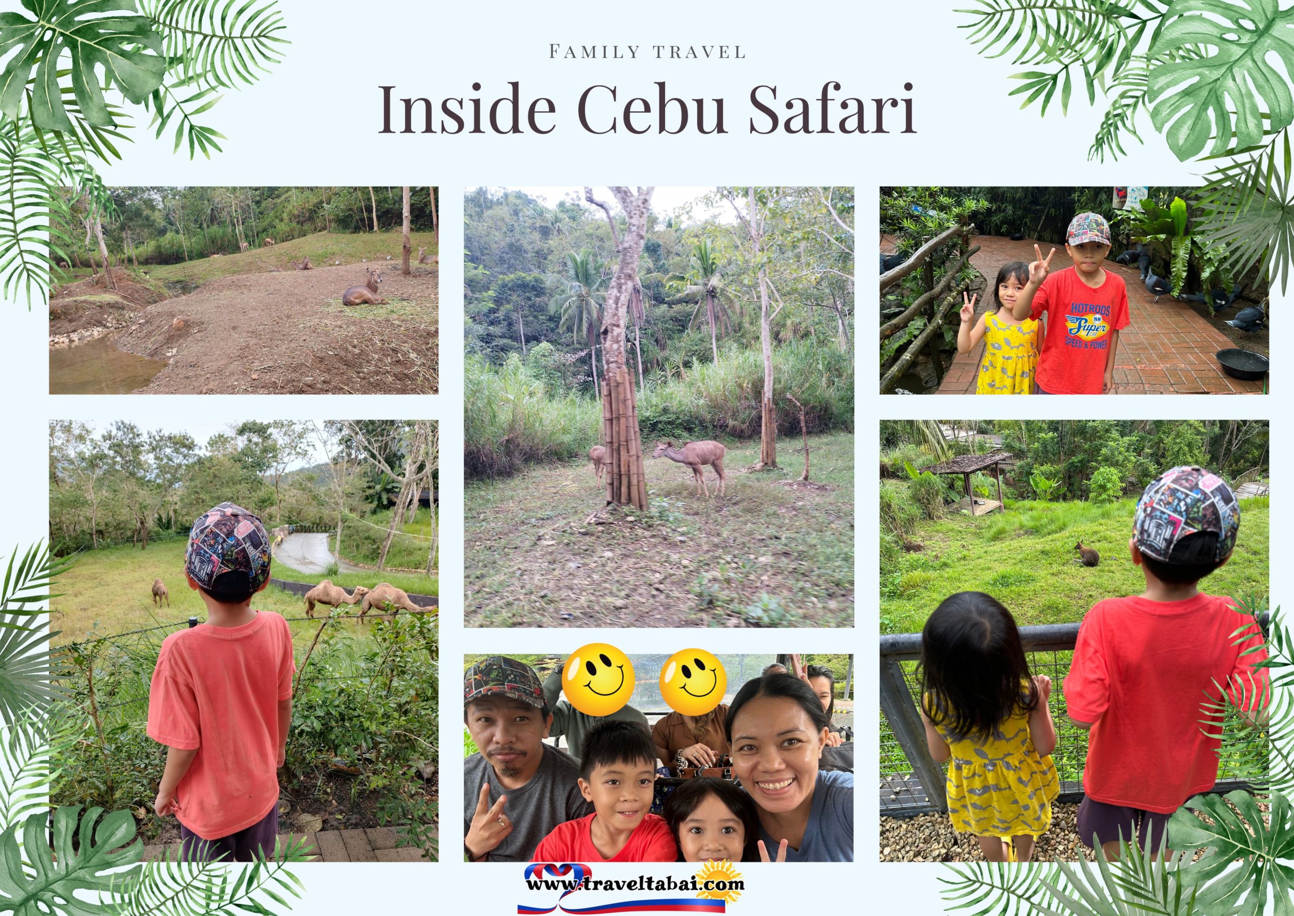 Cebu Safari Animals, Cebu Safari Zoo, Guide to Cebu Safari Zoo, How to go to Cebu Safari, Direction of Cebu Safari, Cebu Safari, Visit Cebu Safari, Best time to visit Cebu Safari