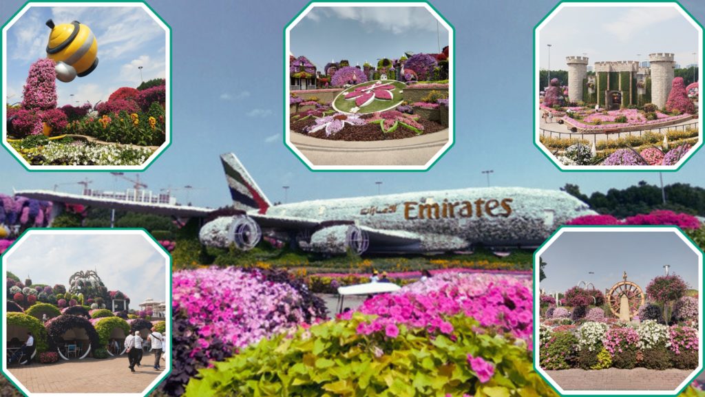 Dubai Miracle Garden, Floral Castle, Guinness World Record, Butterfly Garden, Gardening Workshops, Light and Sound Show, Floral Displays, Family-Friendly Attractions, Dubai Landmarks ,Flower Garden Experiences
