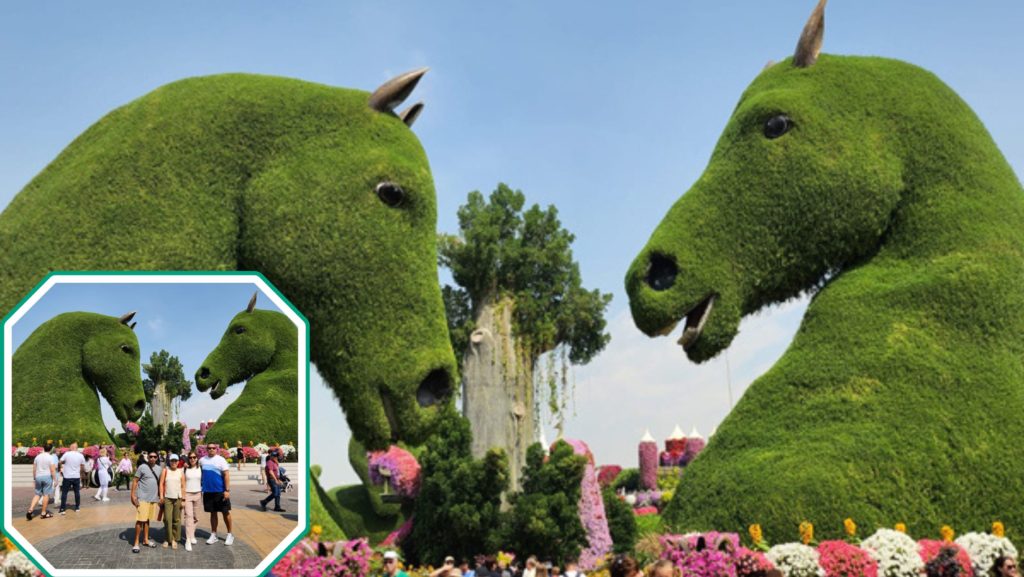 Dubai Miracle Garden, Floral Castle, Guinness World Record, Butterfly Garden, Gardening Workshops, Light and Sound Show, Floral Displays, Family-Friendly Attractions, Dubai Landmarks, Flower Garden Experiences