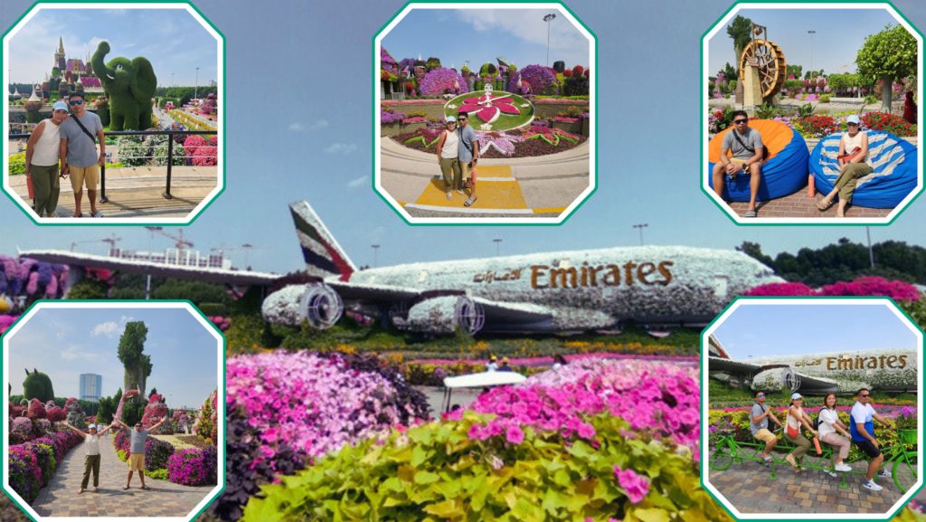 Dubai Miracle Garden, Floral Castle, Guinness World Record, Butterfly Garden, Gardening Workshops, Light and Sound Show, Floral Displays, Family-Friendly Attractions, Dubai Landmarks, Flower Garden Experiences